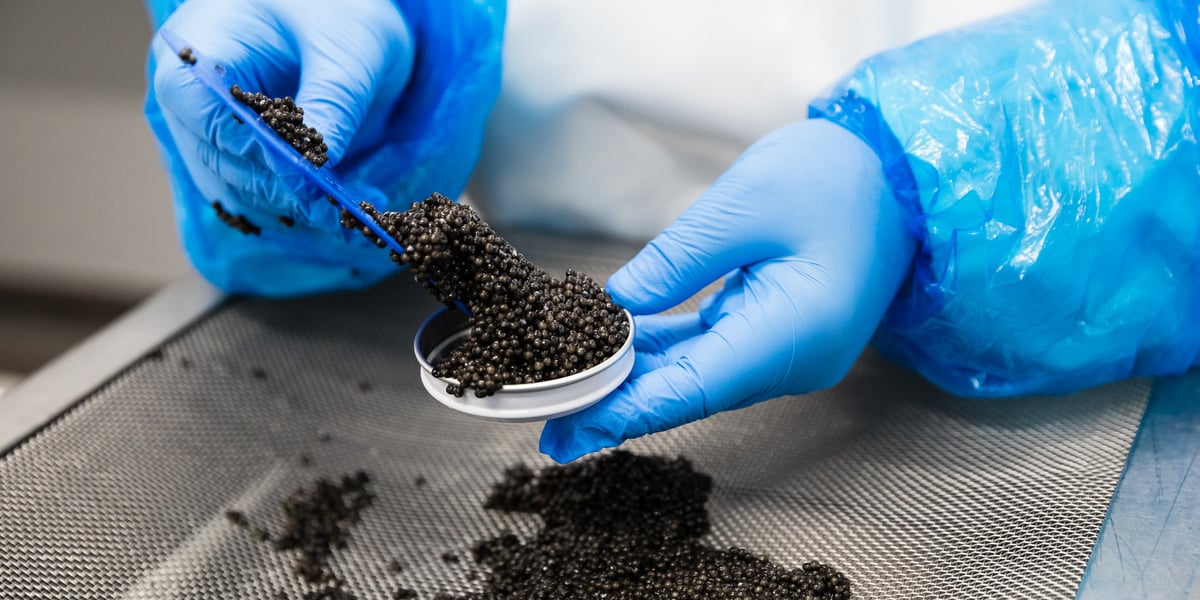 Le marché du caviar est, lui-aussi, devenu un outil de soft power pour la Chine.