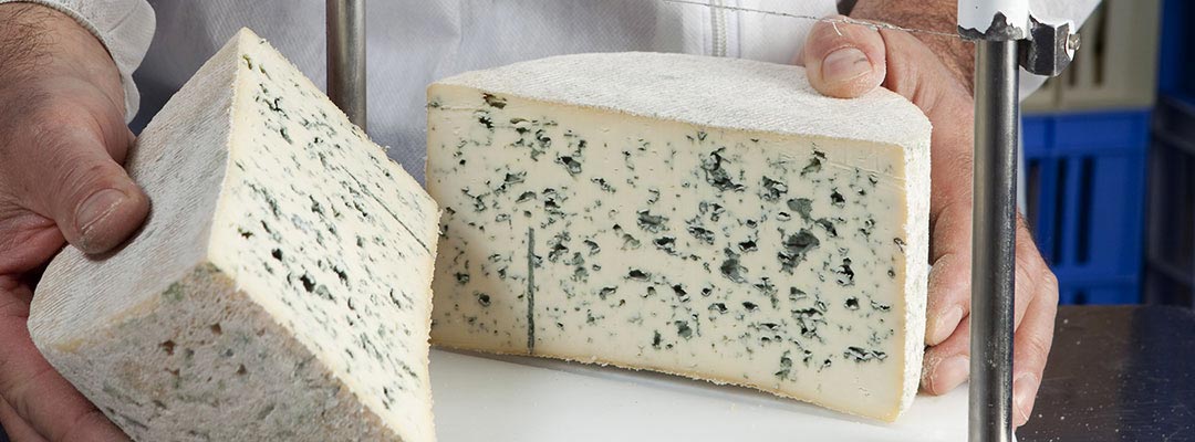 Bleu d'Auvergne