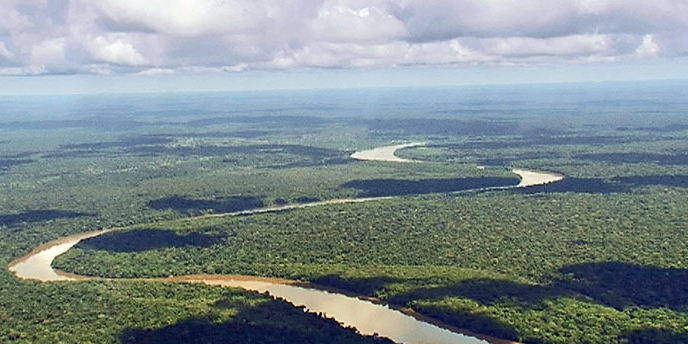 Bassin Congo