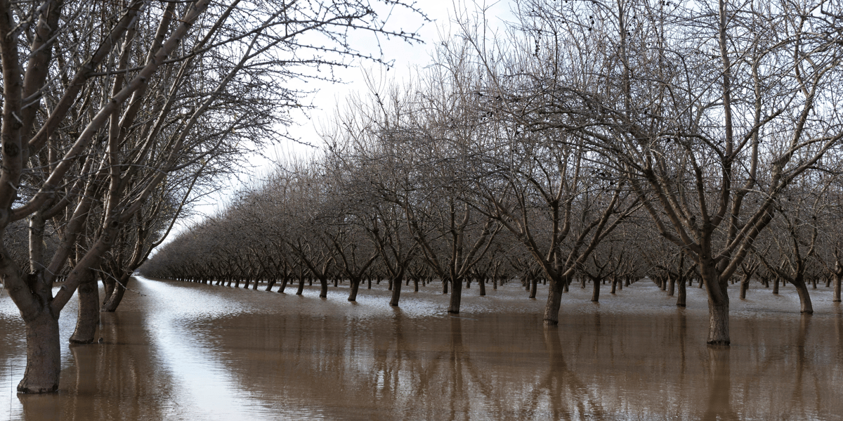 Des inondations frappent une zone residentielle dans le nord de la californie
