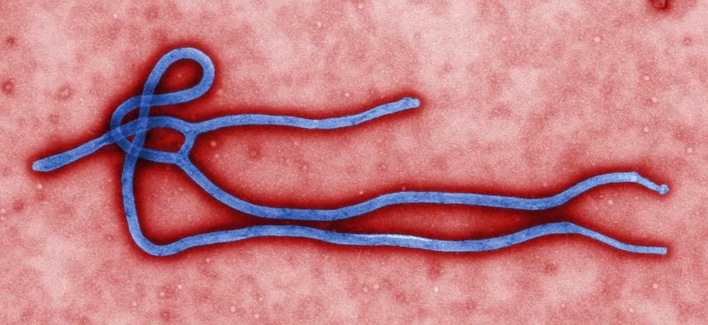 Le Canada pourrait fournir à l'Afrique son vaccin contre Ebola