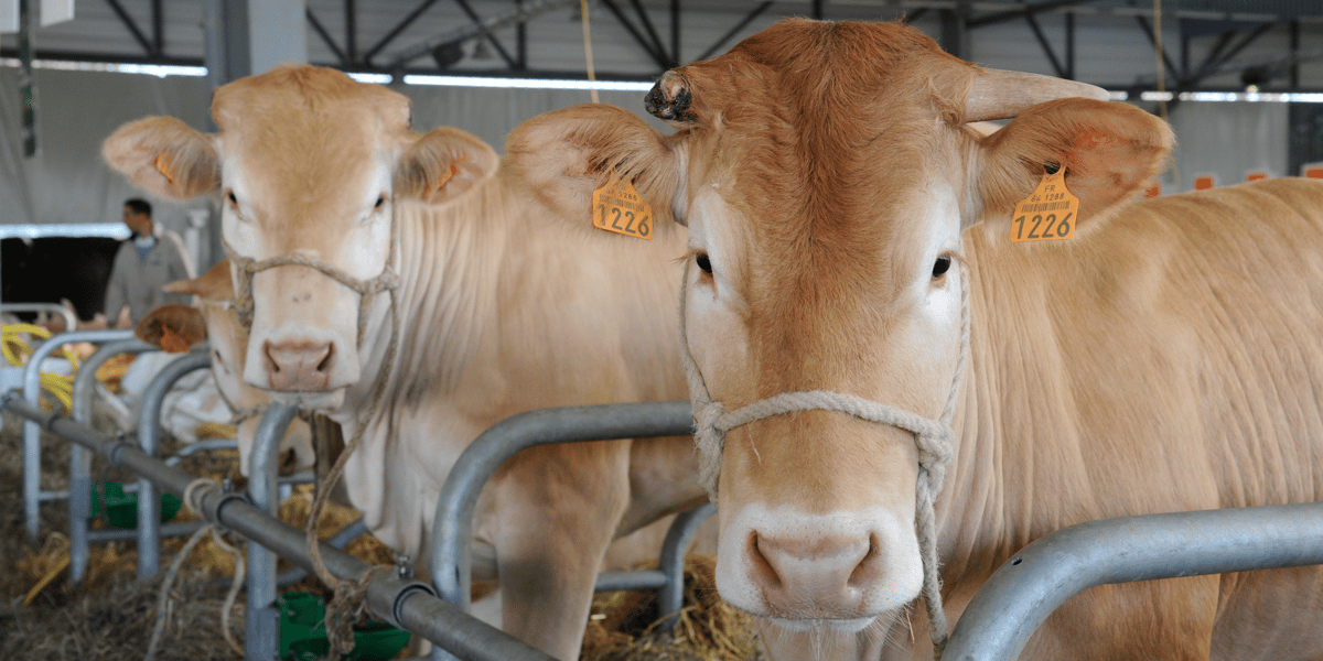 Salon de l'agriculture ALPC
