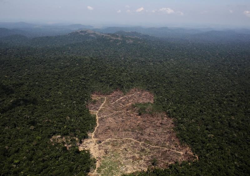 Total: greenpeace epingle un projet a l'embouchure de l'amazone