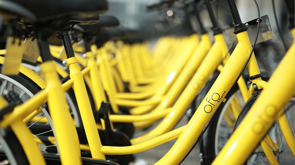 ofo