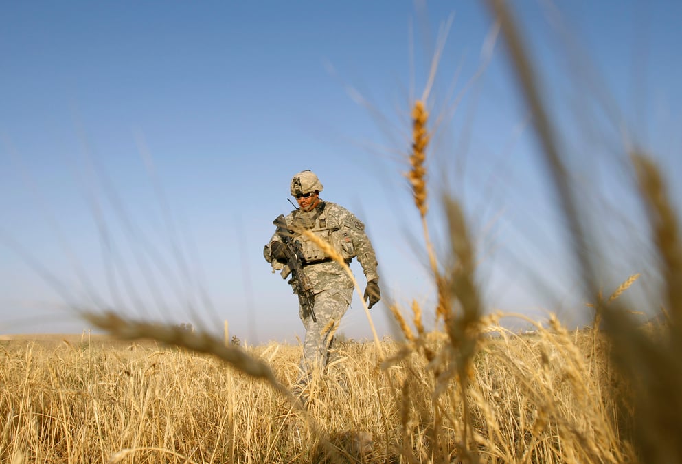 Champ de blé, soldat, Afghanistan, Armée US, Etats-Unis, patrouille militaire,