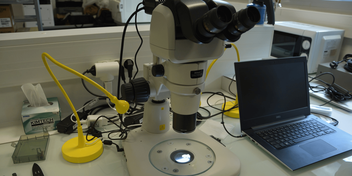 Treefrog Therapeutics Atelier 1
