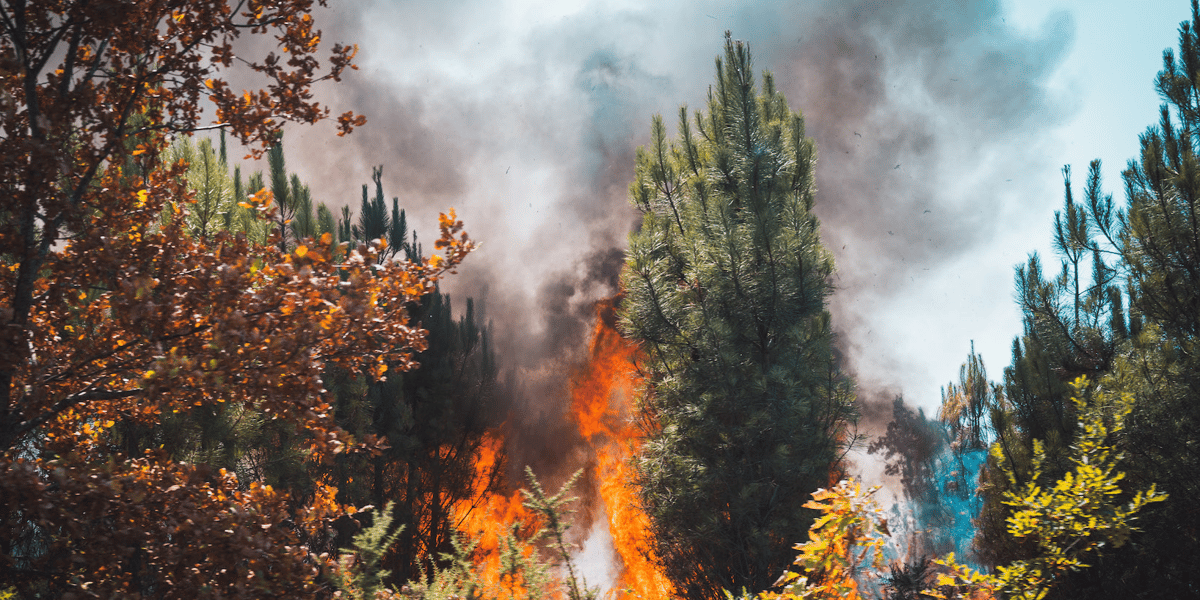 Incendie