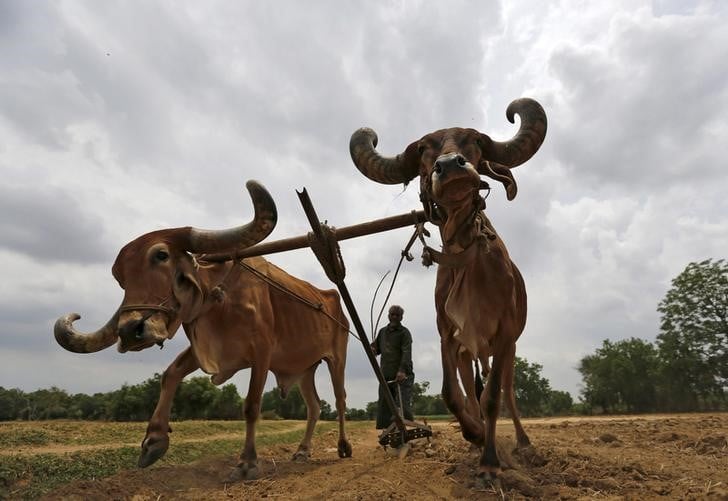 La lutte contre la pauvrete menacee par le climat
