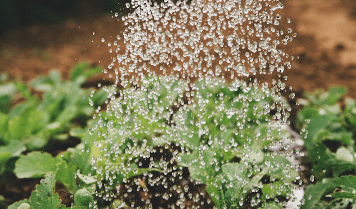 Agriculture eau