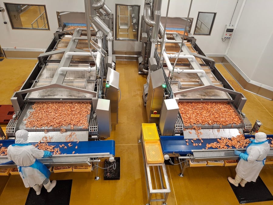 Dans son usine de production de crevettes près de Nantes, Labeyrie Fine Foods produit 7.000 tonnes par an.