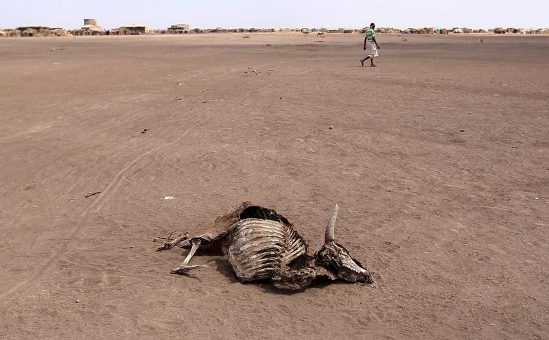 Alerte contre la secheresse et la malnutrition en ethiopie