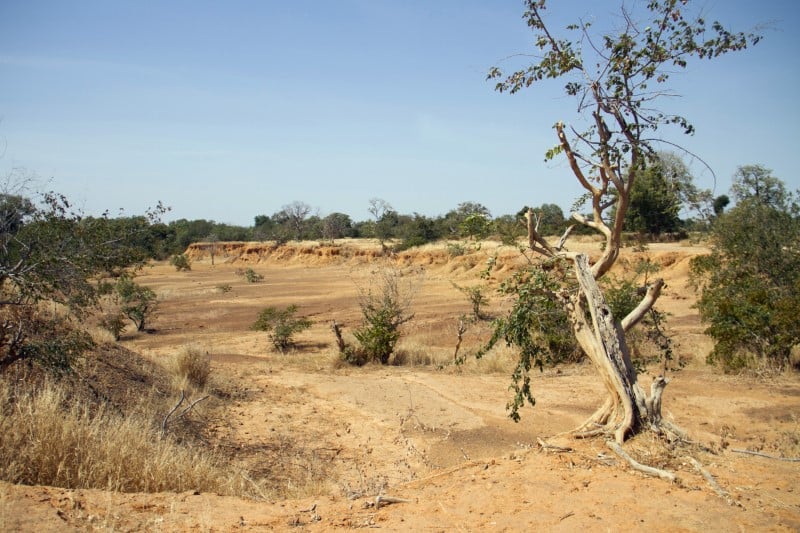 La france et ses allies forment officiellement la force takuba au sahel