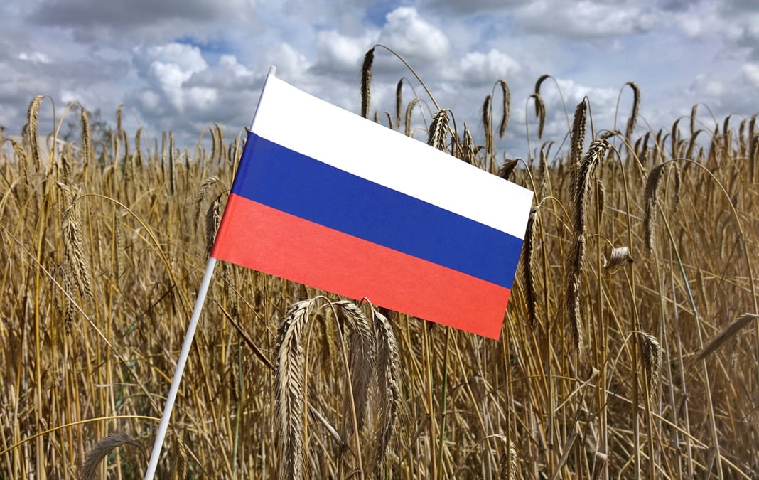Grâce à des récoltes exceptionnelles et des prix agressifs, la Russie, premier exportateur mondial de blé, conforte sa position dominante en mer Noire.