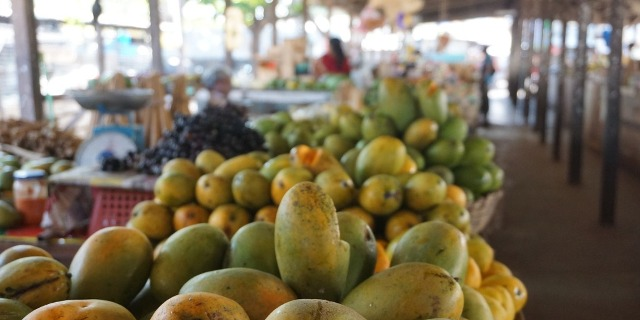 mangue