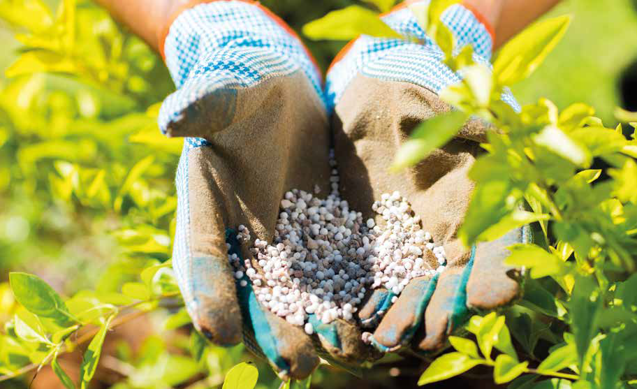 Agriculture engrais agriculteurs