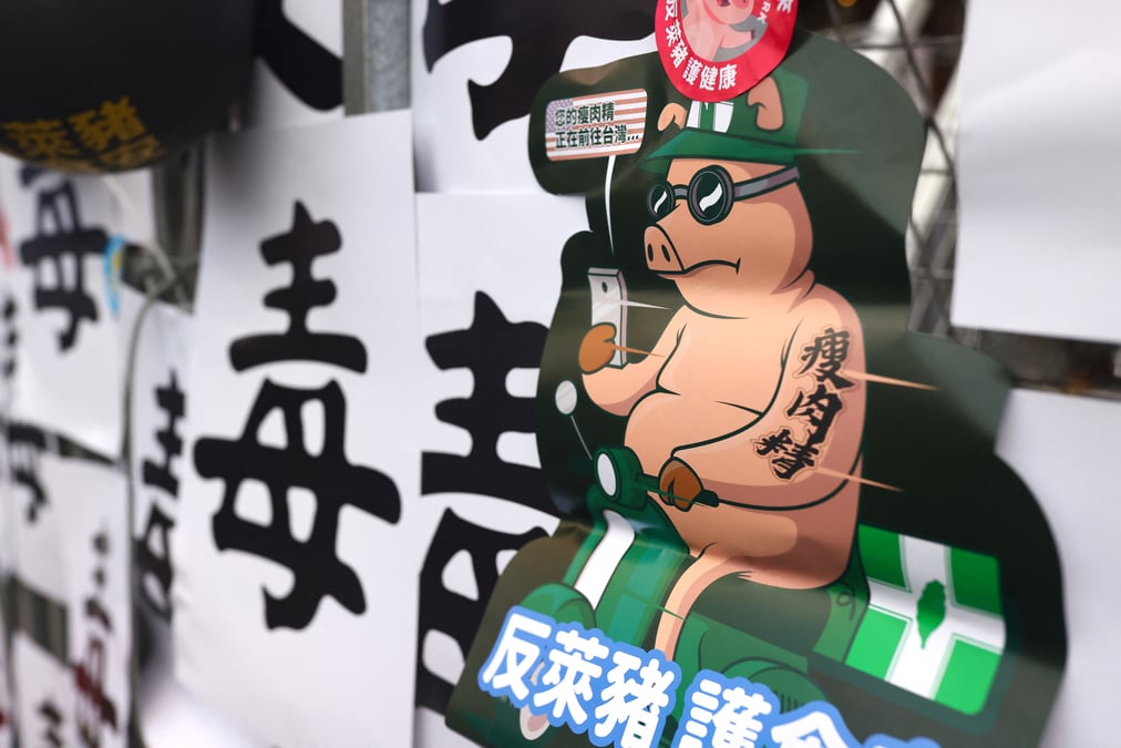 Referendums a taiwan, l'opposition espere tirer son epingle du jeu