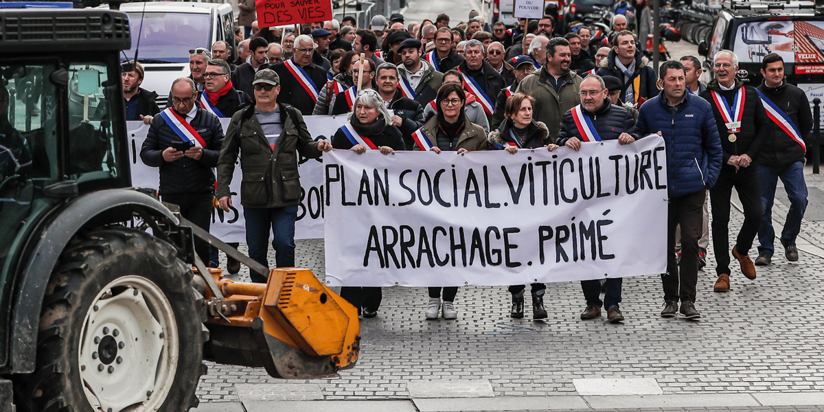 Manifestation vignerons Bordeaux 6 décembre 2022