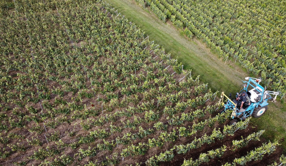 La production agricole pourrait chuter jusqu'a 30% cette annee