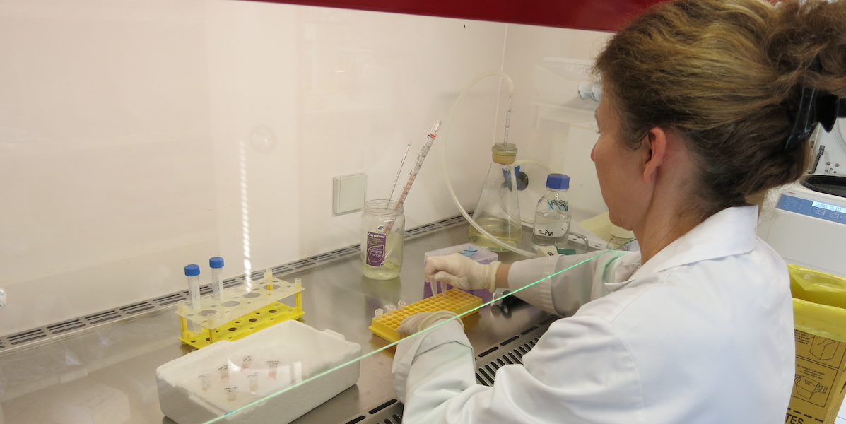 « Nous devons trouver 3 millions d'euros pour poursuivre les essais auprès de patients. Ce n'est pas de l''opportunisme, c'est quelque chose que l'on a scientifiquement en tête depuis longtemps, mais, sans moyens supplémentaires, ça risquerait de nuire à nos autres programmes en cours sur l'oncologie et les maladies nosocomiales», explique Odile Duvaux, fondatrice de la société de biotechnologie Xenothera.