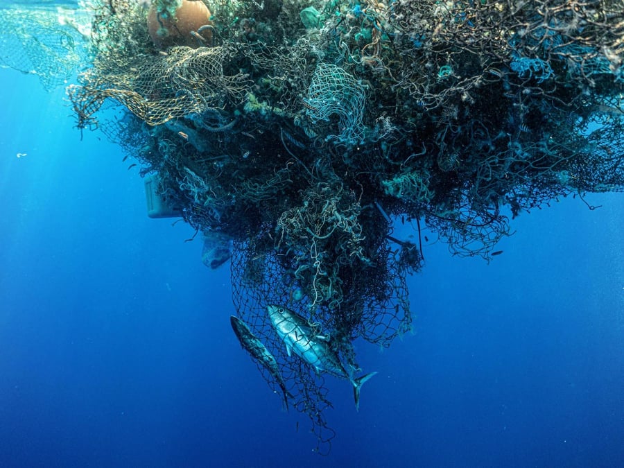L’extraction minière dans les fonds marins pourrait endommager les écosystèmes marins de manière irréversible, selon les scientifiques.