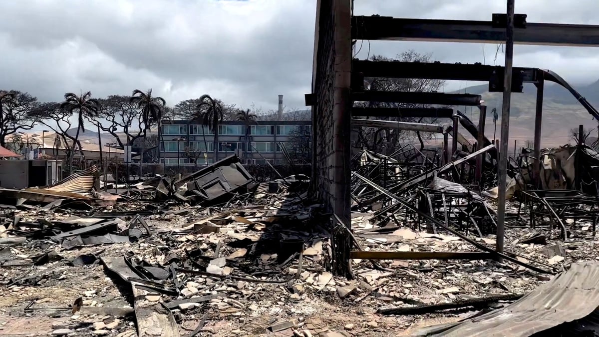 Les incendies, qui avaient démarré le 8 août 2023, avaient fait une centaine de morts et des milliers de sans-abri sur l'île de Maui.