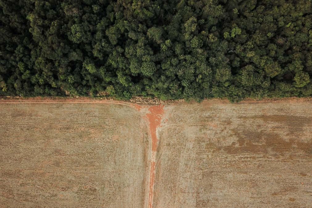 Vue aerienne la deforestation a la frontiere entre l'amazonie et le cerrado