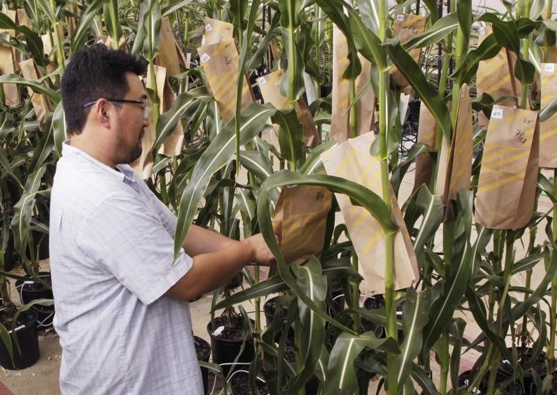 Resultats pour monsanto meilleurs que prevu au 3e trimestre
