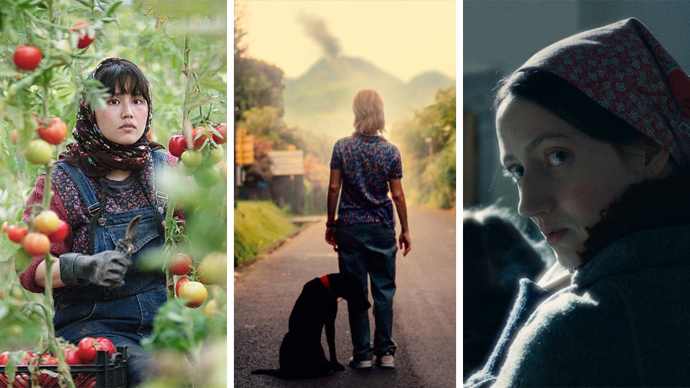 Notre sélection cinéma de la semaine.