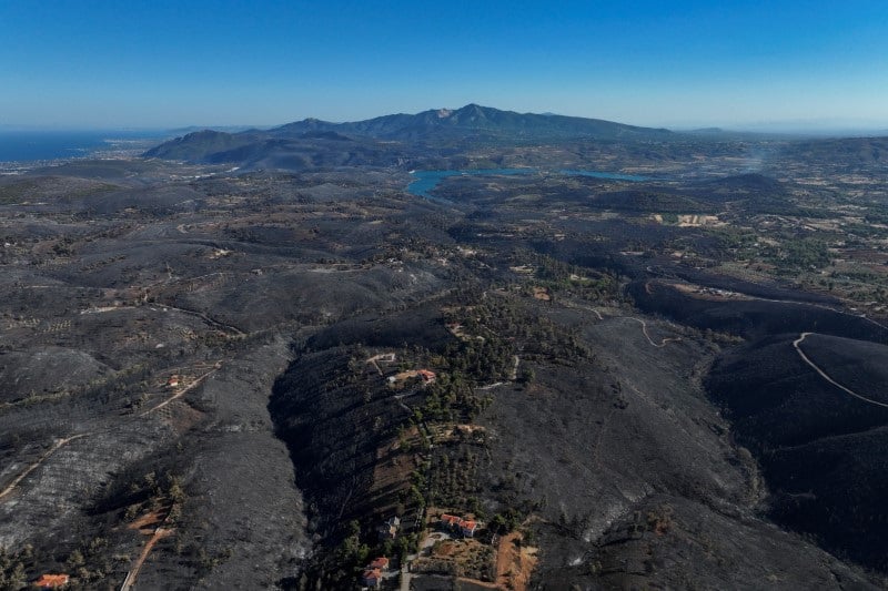 Vue aerienne d'une zone forestiere calcinee suite a un incendie en grece