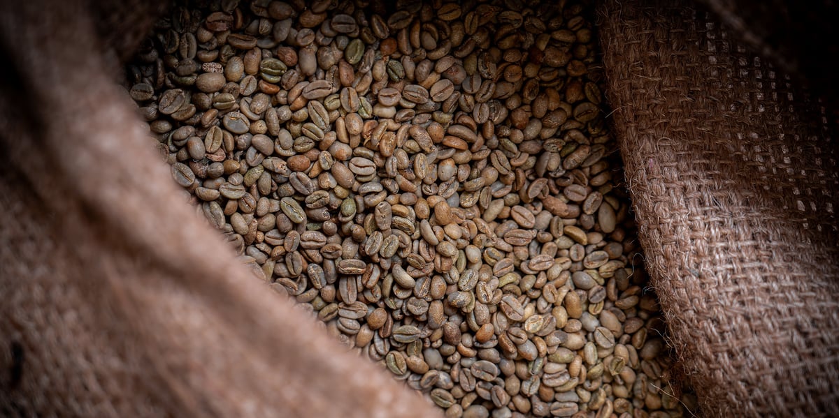 Depuis plusieurs mois, le cours du café s'envole et affecte fortement les torréfadteurs.