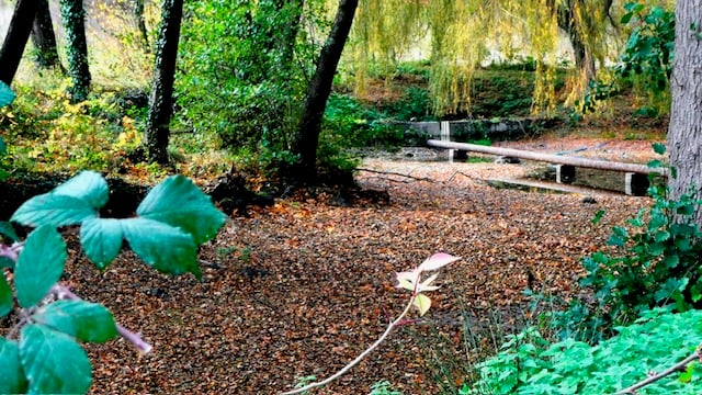 Avec le tarissement de ses sources situées en aval des forages de Danone dans le Puy-de-Dôme, les bassins de pisciculture d'Édouard de Féligonde sont privés d'eau. L'exploitation a dû cesser son activité.