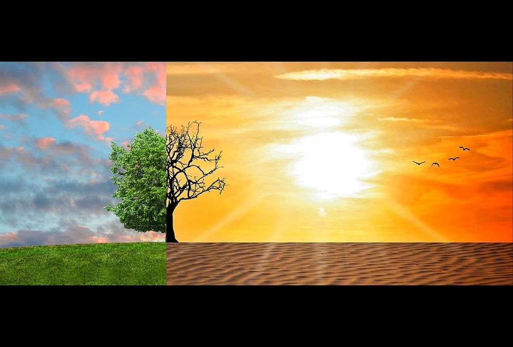 Photo d'illustration