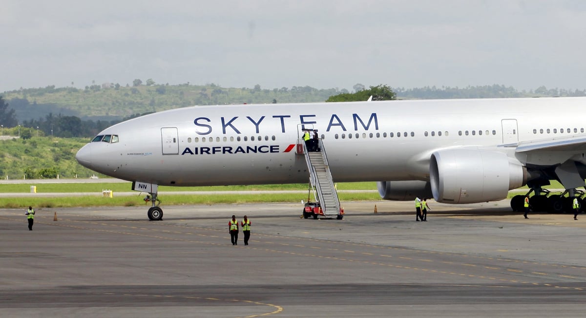 Une garde a vue apres l'alerte sur le vol air france