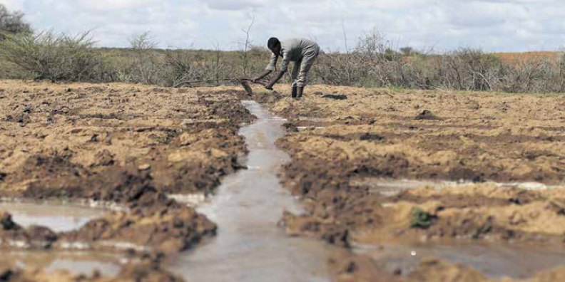 Agriculture terres irrigation labour