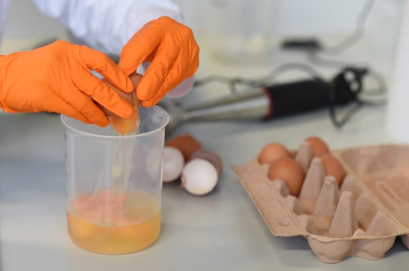 La commission europeenne veut une reunion sur les oeufs contamines