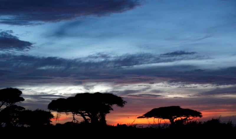 Une celebre protectrice de la nature blessee par balle au kenya