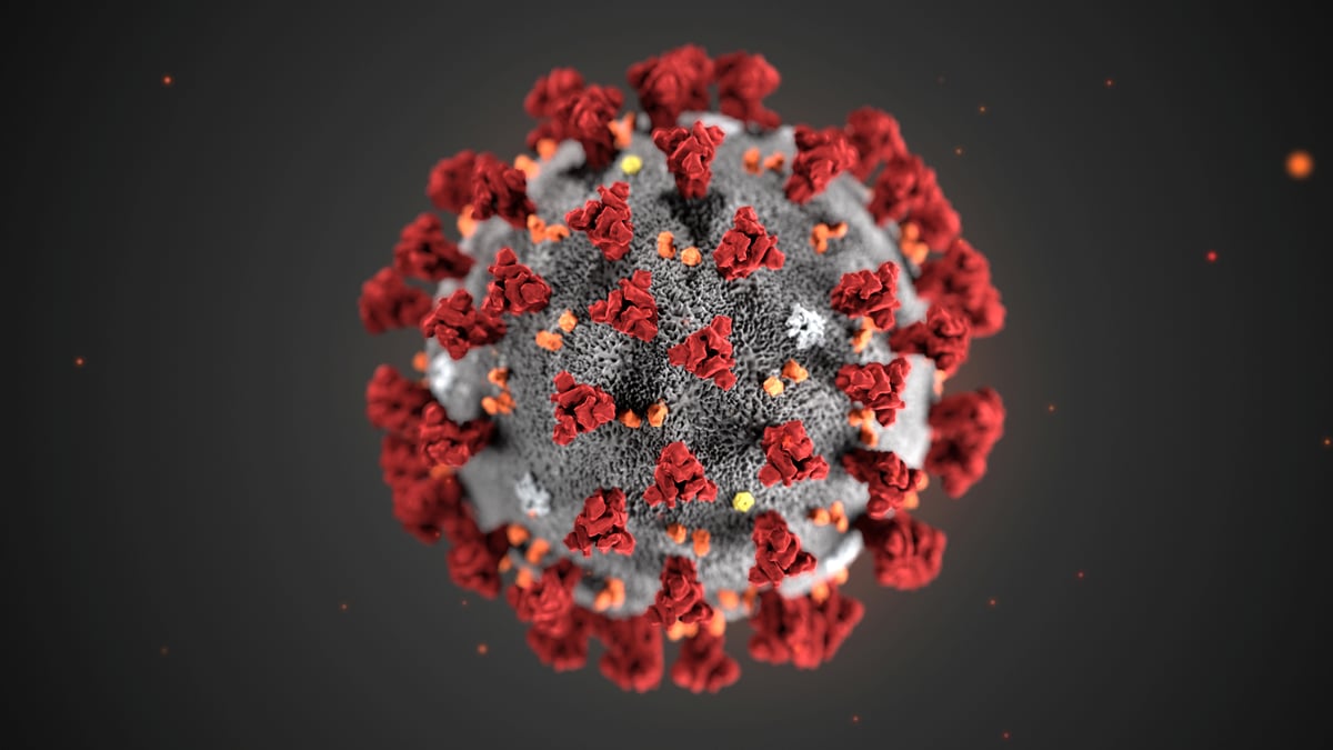 Coronavirus: une souche mutee plus infectieuse pourrait etre moins meurtriere, selon un chercheur singapourien