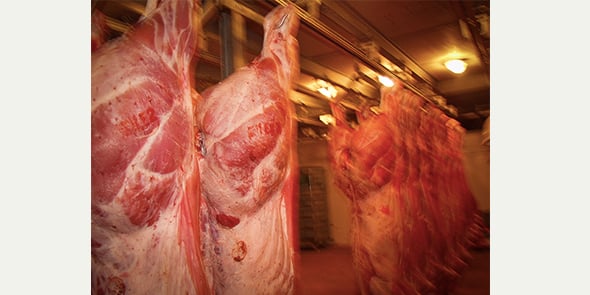 L'abattoir de Quillan, dans l'Aude, tient sur une microfilière viande encore fragile.