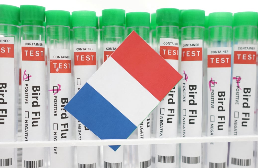 Des tubes a essai etiquetes "grippe aviaire" et un bout de papier aux couleurs du drapeau national francais