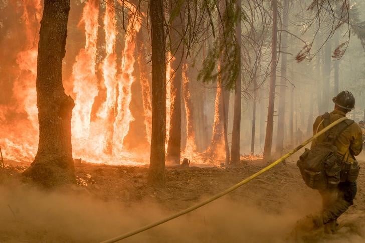 Les pompiers progressent contre les incendies en californie