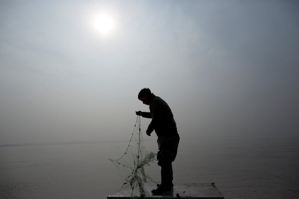 La consommation de poisson grimpe, la surpeche suit le mouvement, selon la fao