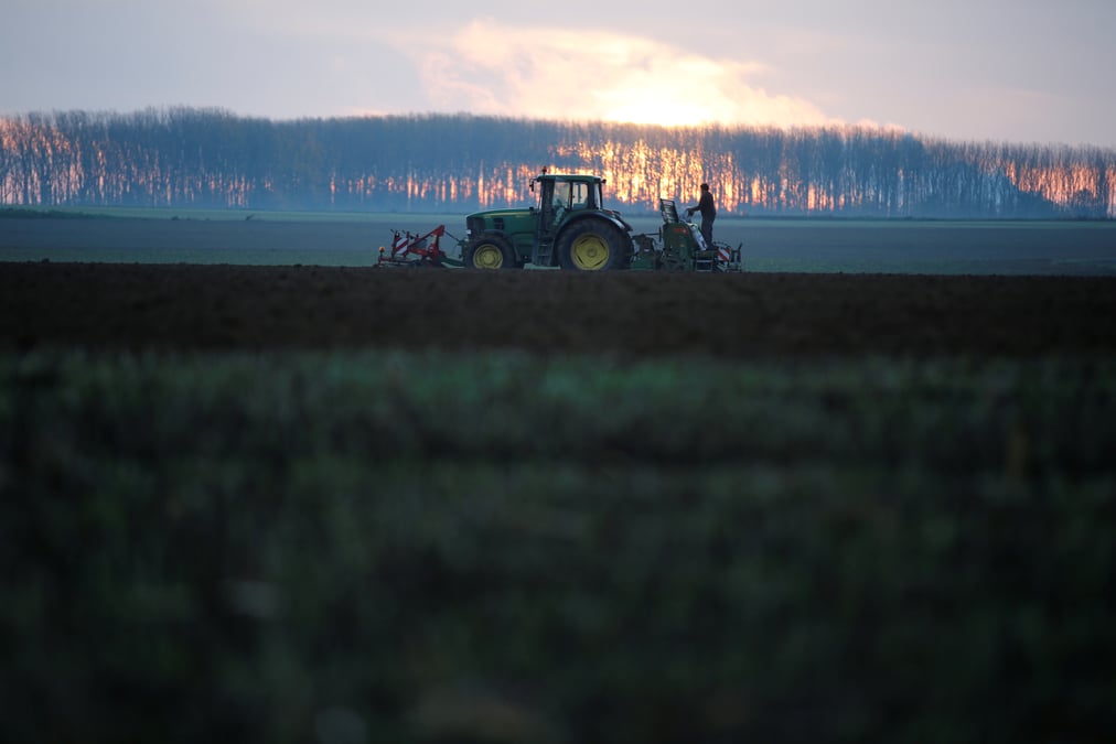 L'ordonnance sur l'alimentation presentee le 12 decembre