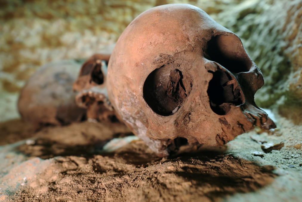 Egypte: decouverte d'une importante necropole au sud du caire