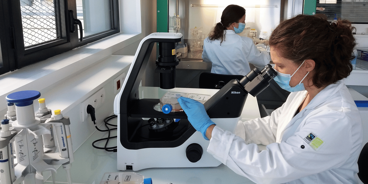 Pour Ose Immunotherapeutics, la stratégie vaccinale passe par les lymphocytes T.