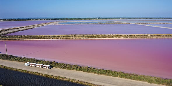 Les Salins du Midi accueille plus de 160 000 visiteurs par an.