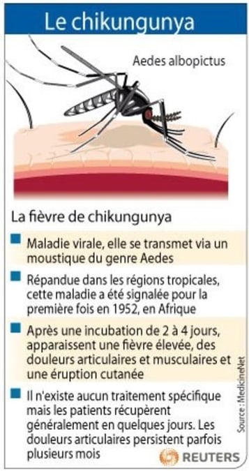 Campagne de prévention aux Antilles contre le chikungunya