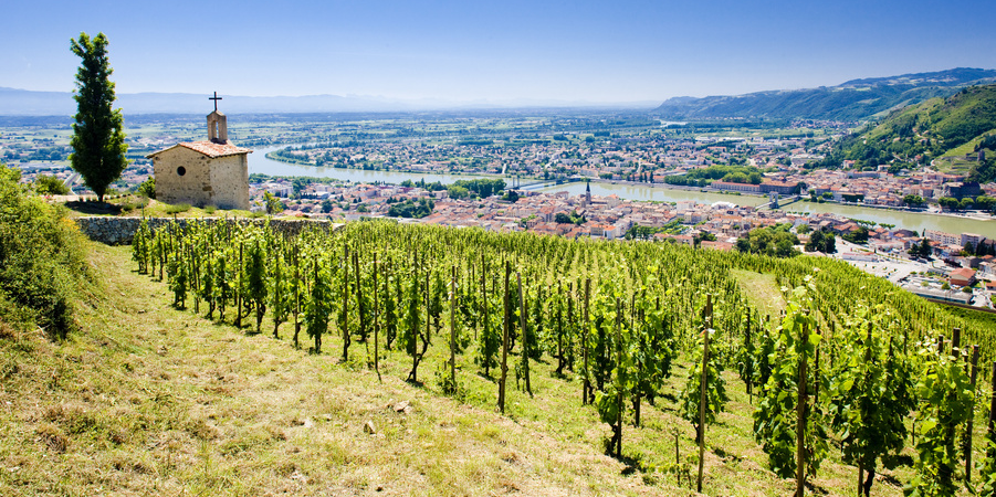 Vignoble de l'Hermitage