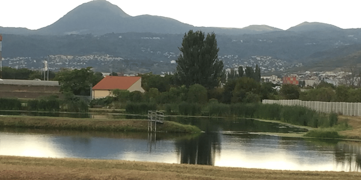Le site, où se trouvent les bassins de lagunage permettant le traitement des eaux usées, sera racheté par quatre collectivités.