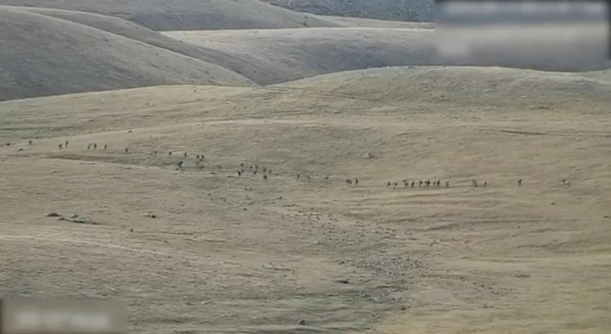 Image montre ce que l'on dit etre des militaires azerbaidjanais se deplacant le long d'une zone frontaliere montagneuse non identifiee avec l'armenie
