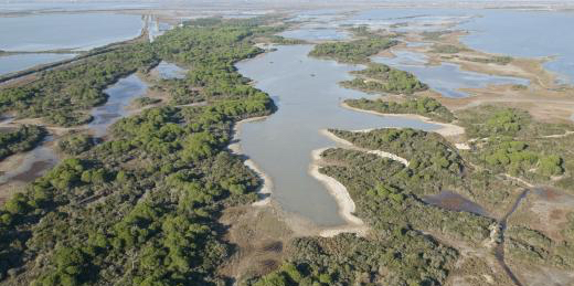 La Camargue